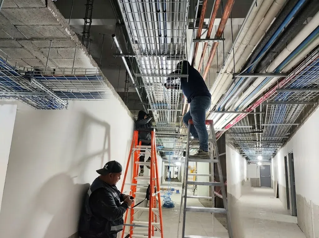 Server room rack with organized blue cabling