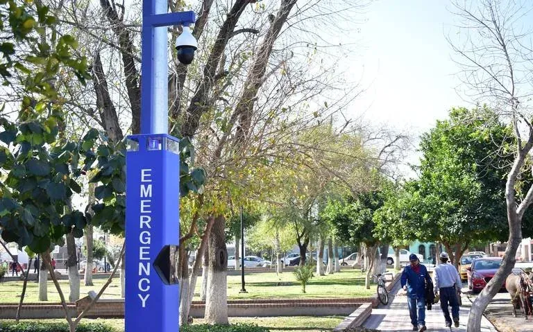 Intelligent monitoring point pole with emergency signage, help button and PTZ dome camera installed in a park